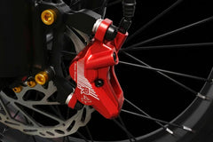 Bee Cool Jupiter X1 72V Full Suspension Mountain Ebike
