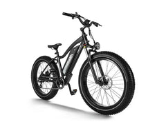 Himiway D3 / Long Range Fat Tire Electric Bike