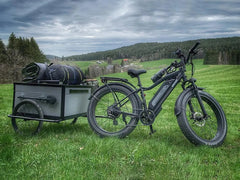 Himiway D3 / Long Range Fat Tire Electric Bike
