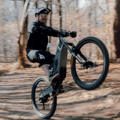 Stealth P-7R Electric Bike