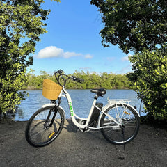 Nakto Camel Step-Thru Electric Bike 350W