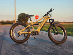Velowave Brawny XM MTB Mountain Electric Bike