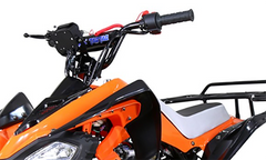 Tao Motor 110 Cheetah Sports ATV - Youth Sports Model 110cc