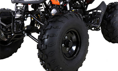 Tao Motor 110 Cheetah Sports ATV - Youth Sports Model 110cc
