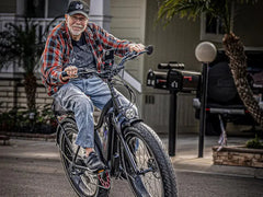 Himiway D3 / Long Range Fat Tire Electric Bike