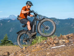 Himiway D3 / Long Range Fat Tire Electric Bike