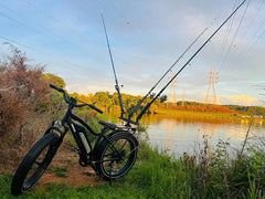 Himiway D3 / Long Range Fat Tire Electric Bike
