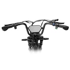 HappyRun Tank G60 Pro 2000W Moped Style Offroad Electric Bike Fat Tire