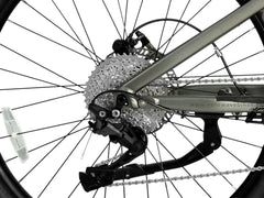 Velowave Forest SM Mountain Electric Bike