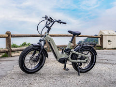 Himiway D5 2.0 20" Step-Thru Electric Bike