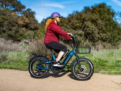 Himiway D5 2.0 20" Step-Thru Electric Bike