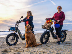 Himiway D5 2.0 20" Step-Thru Electric Bike