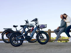 Himiway D5 2.0 20" Step-Thru Electric Bike
