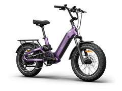 Himiway D5 2.0 20" Step-Thru Electric Bike