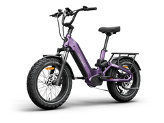 Himiway D5 2.0 20" Step-Thru Electric Bike