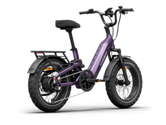 Himiway D5 2.0 20" Step-Thru Electric Bike