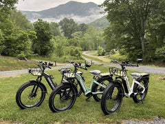 Himiway D5 ST(Zebra ST) / All-terrain Electric Fat Bike