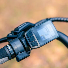 Eunorau META24 1.0 Electric Bike