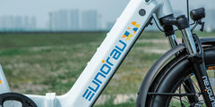Eunorau META20 1.0 Electric Bike