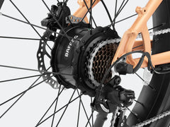 Velowave Rover Step-Thru Electric Bike