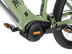 Velowave Forest XM Mountain Electric Bike