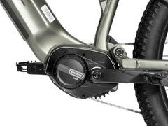 Velowave Forest SM Mountain Electric Bike
