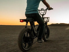 Himiway Escape Pro / Long Range Moped-Style E-Bike ST | Top Speed 20 Mph