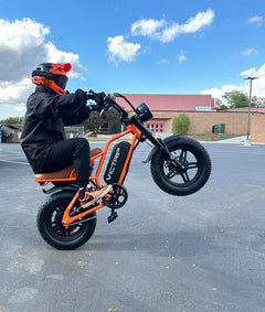 Victrip R6 Off Road E-Bike