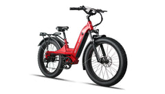 Bee Pathfinder Step-Thru Full Suspension Long Range Electric Bike