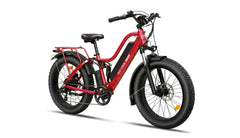 Bee Explorer Soft Tail Long Range Electric Bike