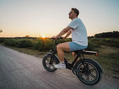 Himiway Escape Pro / Long Range Moped-Style E-Bike ST | Top Speed 20 Mph