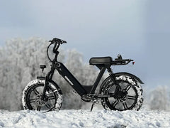 Himiway Escape Pro / Long Range Moped-Style E-Bike ST | Top Speed 20 Mph