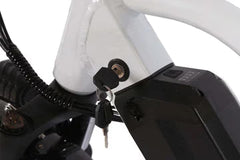 Bee Explorer Soft Tail Long Range Electric Bike