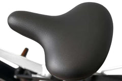 Bee Explorer Soft Tail Long Range Electric Bike