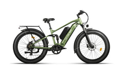 Bee Voyager Dual Batteries Soft Tail Electric Bike
