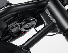 Marsant's X Ant6 Long Range 20" x 4" Fat Tire Pedal Assist Ebike