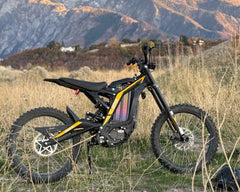 Freego Natkie N1 All-Terrain Electric Motorcycle