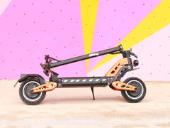 Freego C10 Pro Landtiger Dual-Motor Foldable Electric Scooter