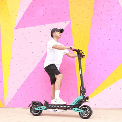 Freego C10 Landrider Foldable Electric Scooter