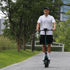 Freego C10 Landrider Foldable Electric Scooter