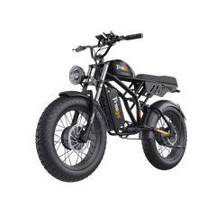 Freego Flash F3 Pro Dual Motor and Battery Electric Bike