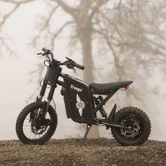 **PREORDER EARLY APRIL** Freego X0 Electric Mini Bike for Teens and Adults