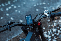 Freego X2 Dirt Master Off-Road Electric Bike