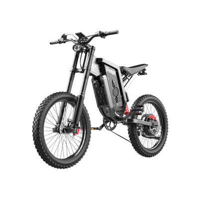 Freego X2 Dirt Master Off-Road Electric Bike