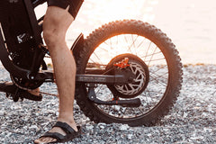 Freego X2 Dirt Master Off-Road Electric Bike
