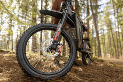 Freego X2 Pro All-Terrain Dirt Electric Bike