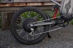 Freego X2 Pro All-Terrain Dirt Electric Bike