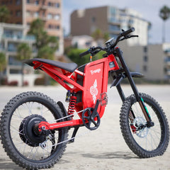 Freego X2 Pro All-Terrain Dirt Electric Bike