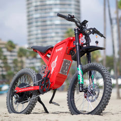 Freego X2 Pro All-Terrain Dirt Electric Bike