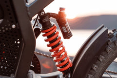 Freego X2 Pro All-Terrain Dirt Electric Bike